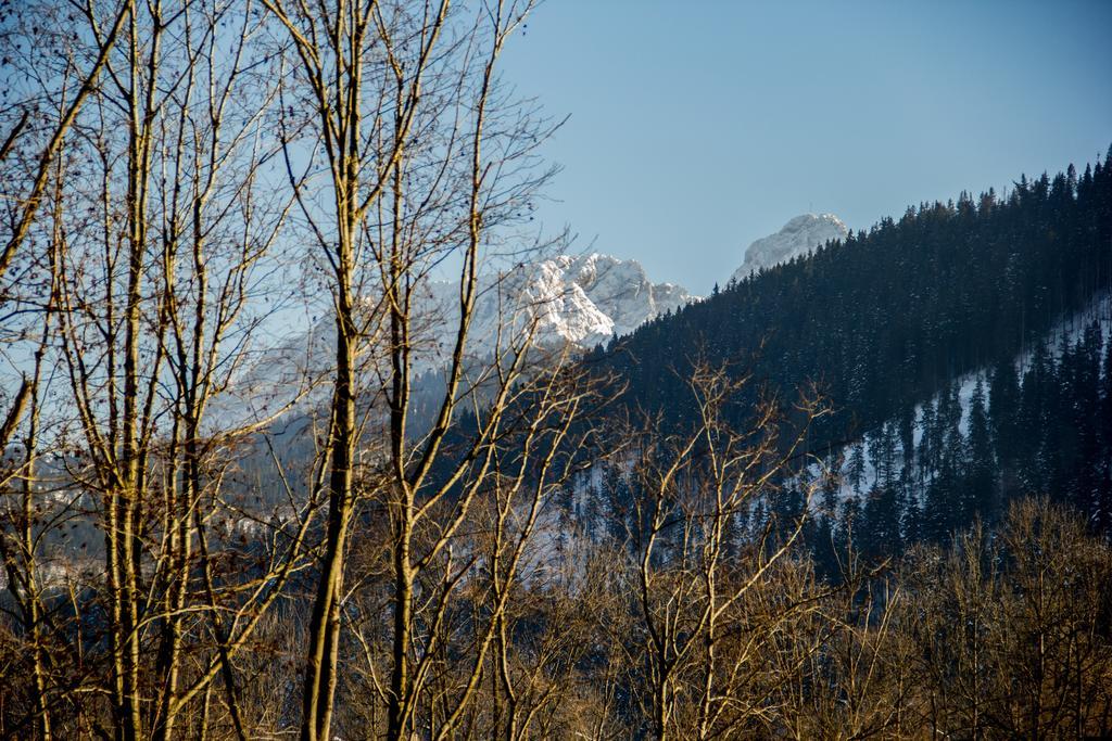 Dolina Resort Zakopane Kościelisko Oda fotoğraf